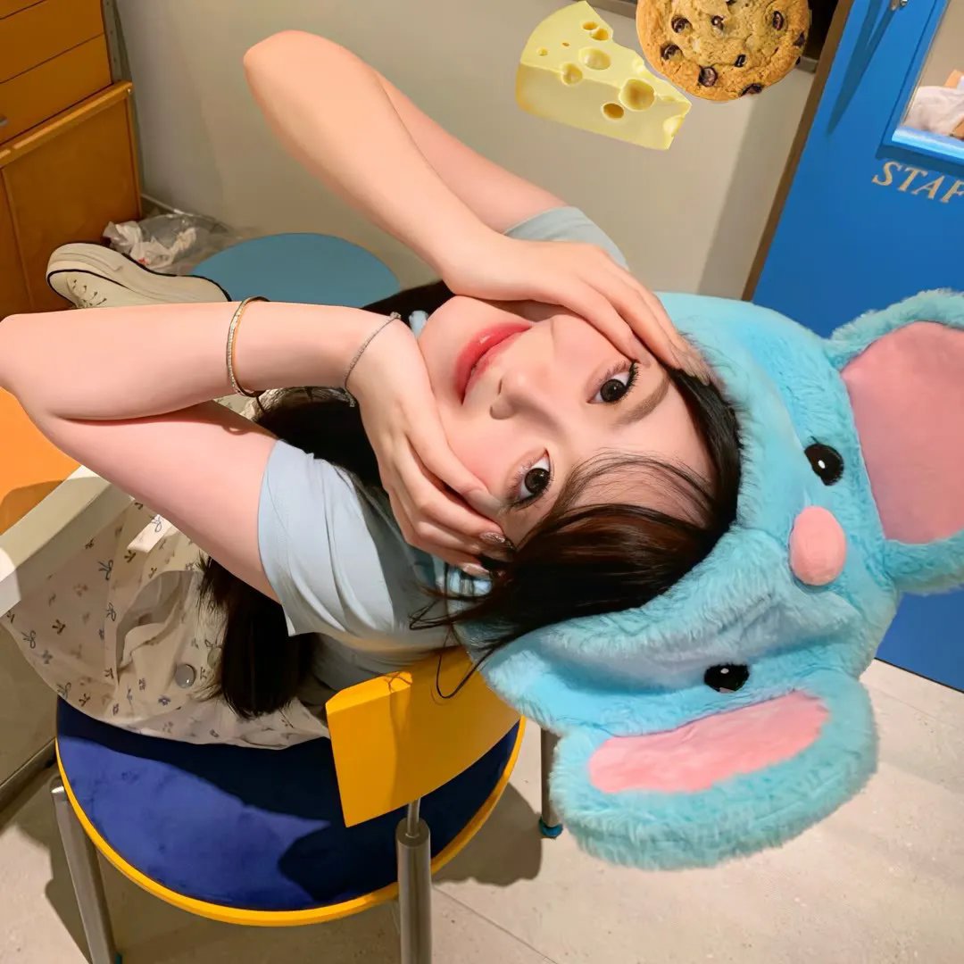 毛毯猫